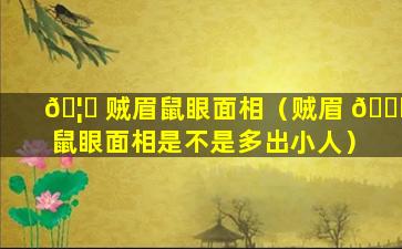 🦁 贼眉鼠眼面相（贼眉 🐎 鼠眼面相是不是多出小人）